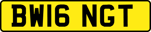 BW16NGT