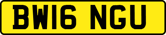 BW16NGU