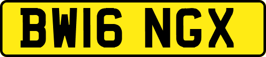 BW16NGX