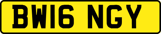 BW16NGY