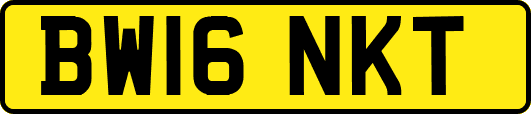 BW16NKT
