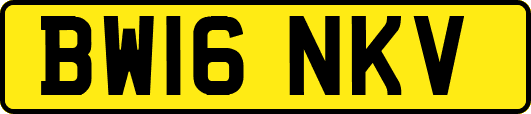 BW16NKV
