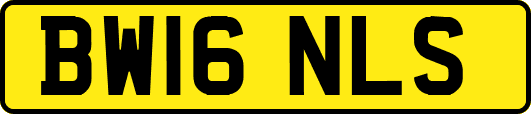 BW16NLS