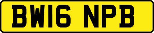 BW16NPB
