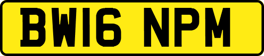 BW16NPM