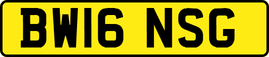 BW16NSG
