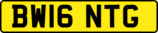 BW16NTG