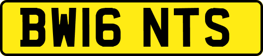 BW16NTS