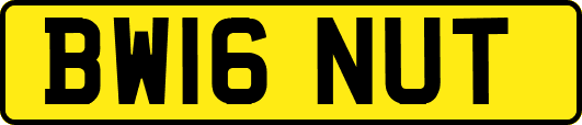 BW16NUT