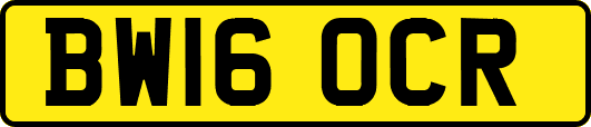BW16OCR