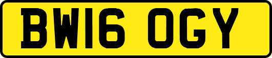 BW16OGY