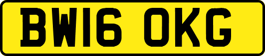 BW16OKG