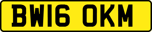 BW16OKM