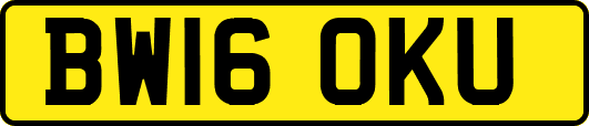 BW16OKU
