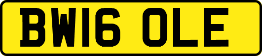 BW16OLE
