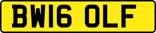 BW16OLF