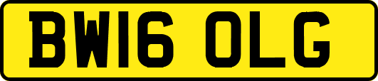 BW16OLG
