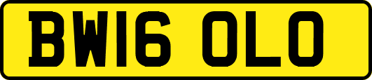 BW16OLO