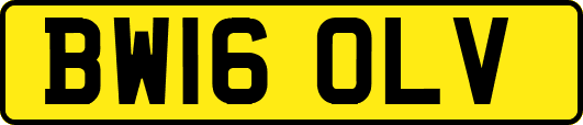 BW16OLV