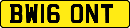 BW16ONT