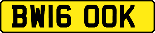 BW16OOK
