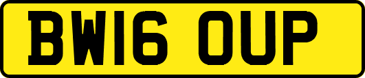 BW16OUP
