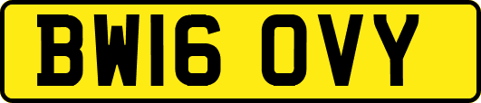 BW16OVY