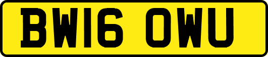 BW16OWU
