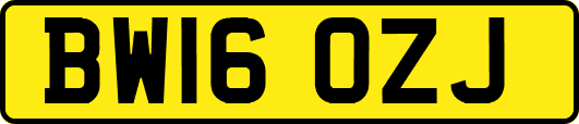 BW16OZJ