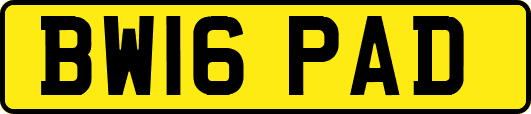 BW16PAD