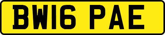 BW16PAE
