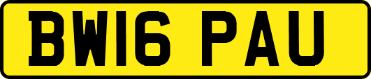 BW16PAU