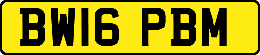 BW16PBM
