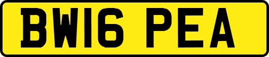 BW16PEA