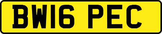 BW16PEC