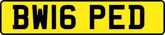BW16PED