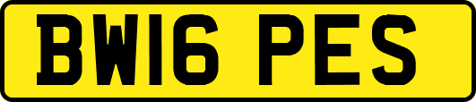 BW16PES