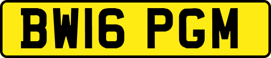 BW16PGM