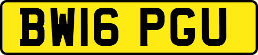 BW16PGU