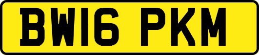 BW16PKM