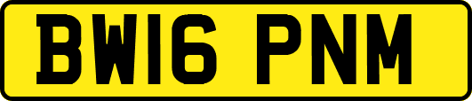 BW16PNM