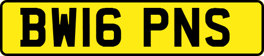 BW16PNS