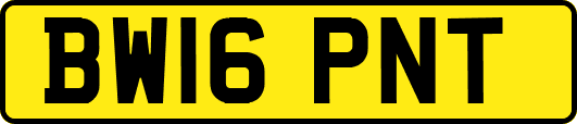 BW16PNT