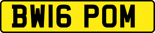 BW16POM