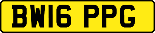 BW16PPG