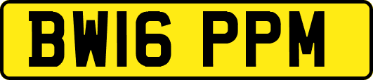 BW16PPM