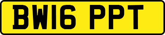 BW16PPT