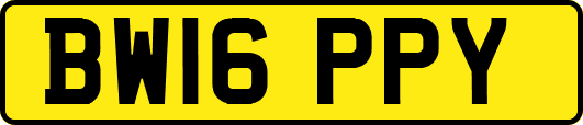 BW16PPY