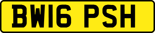 BW16PSH