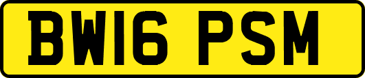 BW16PSM